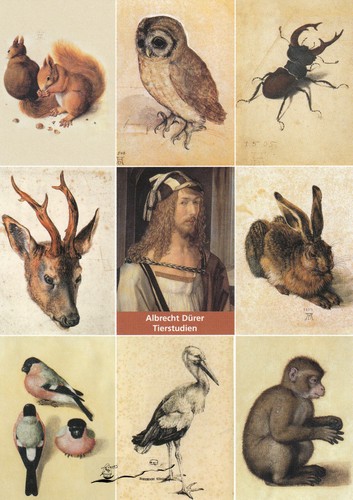 Carta artistica albrecht - carta, artistica: