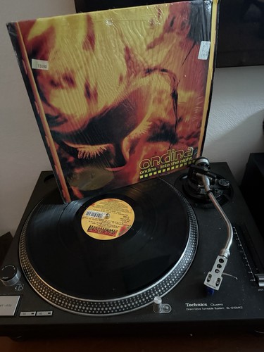 Vinile ondina into the - vinile, –