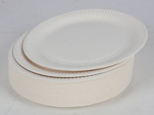 10x Piatto di Carta 100er