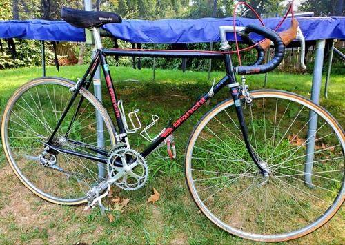 Bianchi sport road bike - bianchi, ss