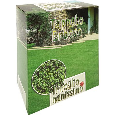 Seme prato trifoglio repens - seme,