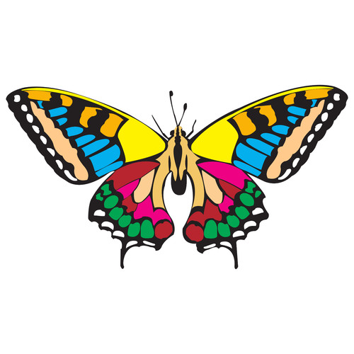 Adesivi auto sticker - x,