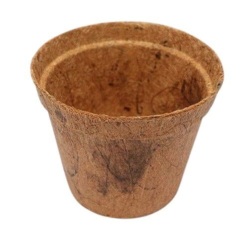 Vaso fibra cocco - fibra,