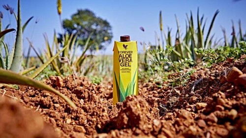 Forever aloe vera gel - forever,