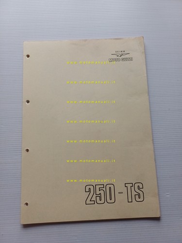 Moto guzzi 250 elettronica - ts,