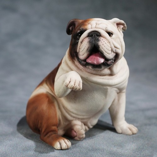 Scale english bulldog - 1/6,