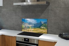 Parete posteriore cucina Tulup