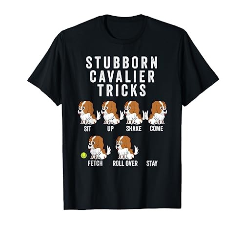 Stubborn cavalier king charles - stubborn,