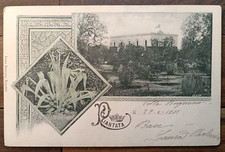 1901 PIANTATA in villa-80339