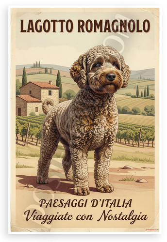 Lagotto romagnolo paesaggio - lagotto,