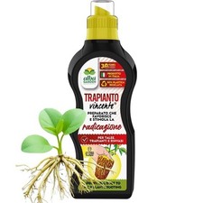 Attivatore Stimolante Radicazione per Talee Radici Trapianto Rinvasi Bulbi 500 g