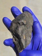 NWA 16792 Meteorite 119,016 g