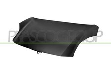 COFANO FORD - PUMA - Mod