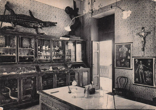 03378 monza collegio - 03378),