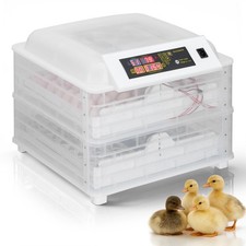 112 eggs digital - eggs, incubator