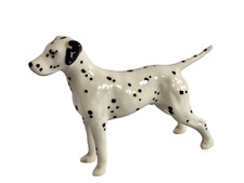 Cane razza dalmata - cane,