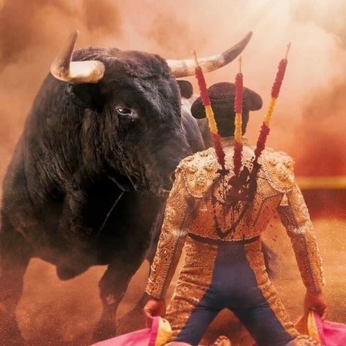 Toro corrida torero - corrida,