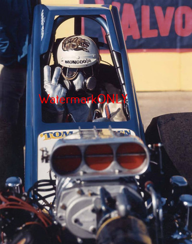 Tom mongoose mcewen - tom, 1970