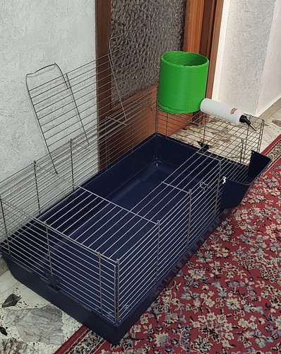 Vendo gabbia grande per