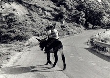 1972 PIETRAPERTOSA bambini sul