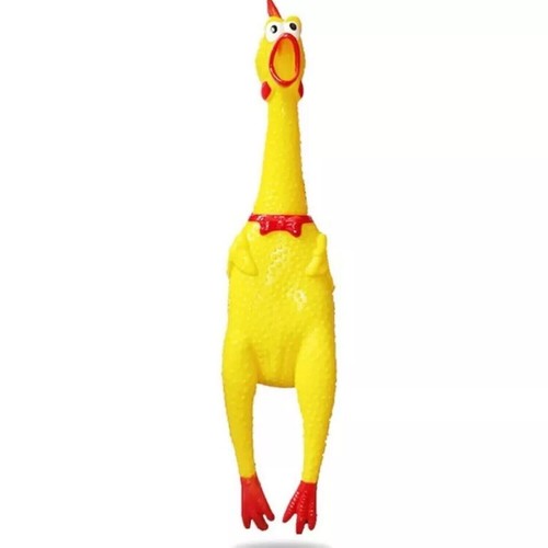 Pollo gomma gioco per cani - pollo,