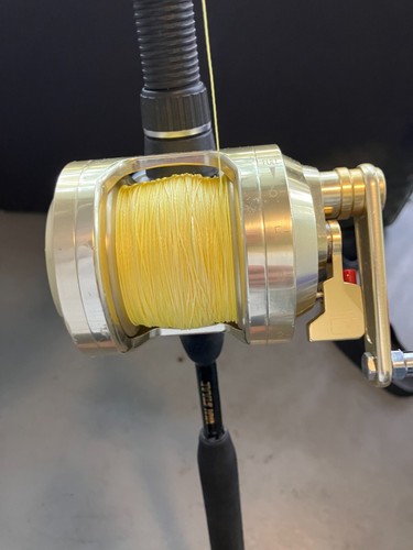 Saltwater fishing rod - fishing, reel