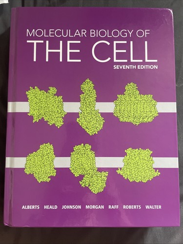 Molecular biology the - molecular, of