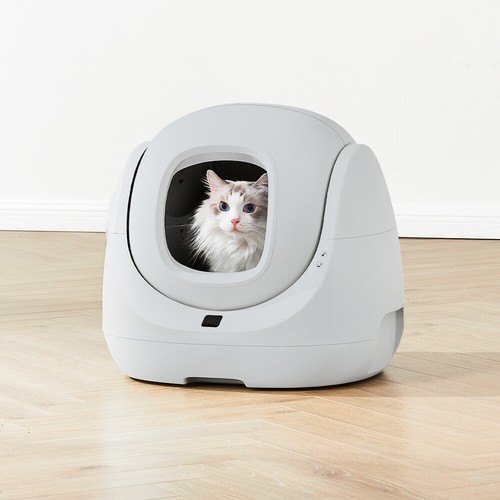 Toilette per gatti autopulente - gatti,