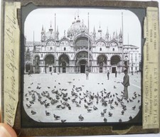 MAGIC LANTERN FOTO ANTICA  VENEZIA SAN MARCO PIDGEON VENICE LANTERNA MAGICA 1880