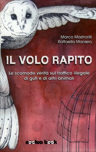 Libro volo rapito verità - libro,