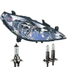 Faro Destro Per Peugeot 307