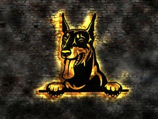 Dobermann cane 3D LED quadro
