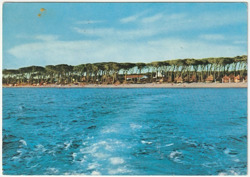 Cecina livorno s - cecina, s.