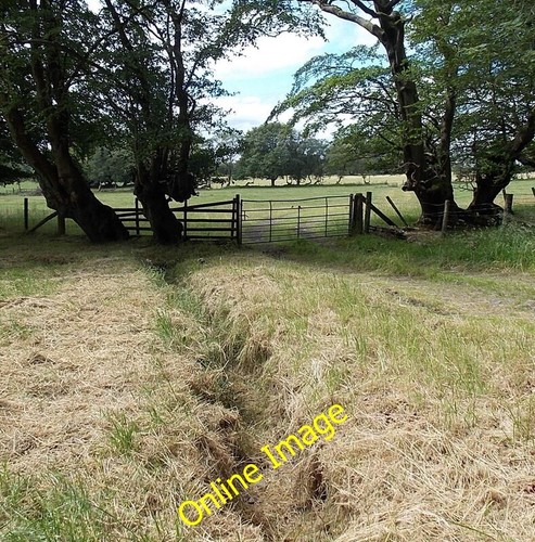 Photo 6x4 dried small - 6x4,
