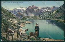 Aosta Gran San Bernardo Cane