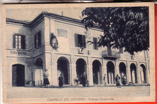 CARTOLINA  CAMPELLO DEL