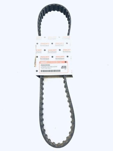 Cinghia distribuzione - di,
