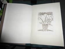 SINISGALLI IL TEMPIETTO,PESARO