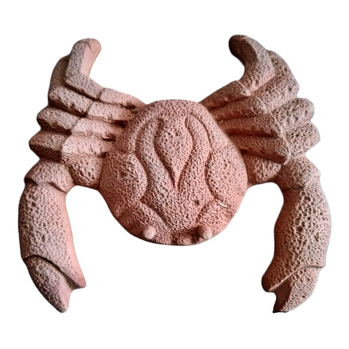 Granchio decorazioni parete - decorazioni,