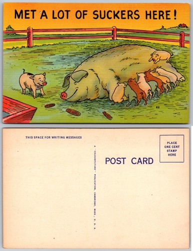 Cartolina umorismo - cartolina,