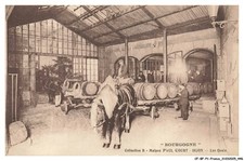 CF-BFP1-0224-21 - Bourgogne -