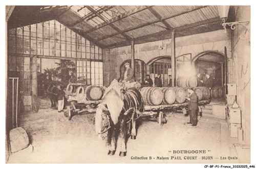 Bfp1 0224 bourgogne - -,