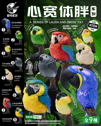 Animal heavenly body parrot - animal,