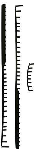 Head graphene prestige rev - head, xt