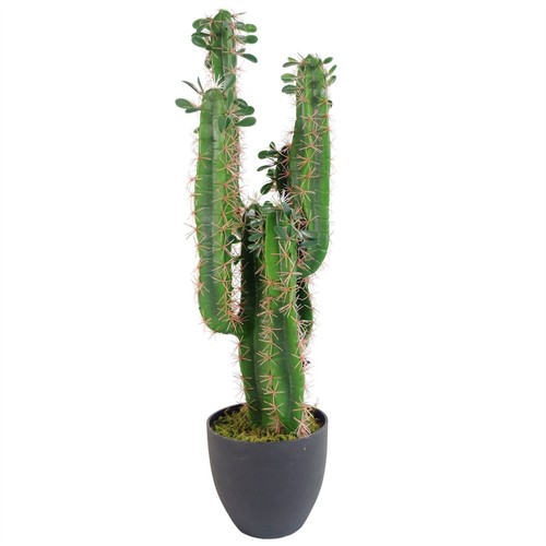 Pianta cactus artificiale - pianta,
