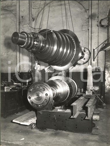 1955 genova ansaldo - -, e