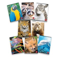 Pigna animal set pezzi - 20,