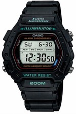 CASIO Collection DW-290-1