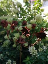 Ruota eolica in acciaio inox Flowerspin con farfalle mulino a vento giardino ...