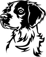 Adesivo EPAGNEUL BRETON -